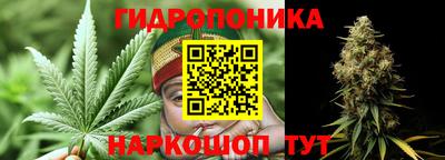 бошки Кимры